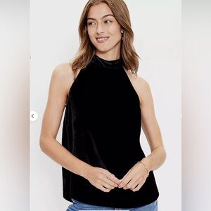 NWT LOFT  Velvet halter neck top M